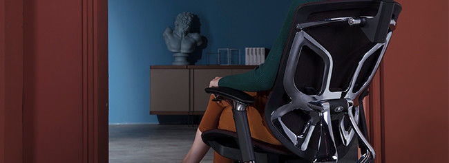 Sitzt mittleres hinteres ergonomisches Stuhl-Rückenstütze-justierbares Schwenker-Büro Dvary 0 vor