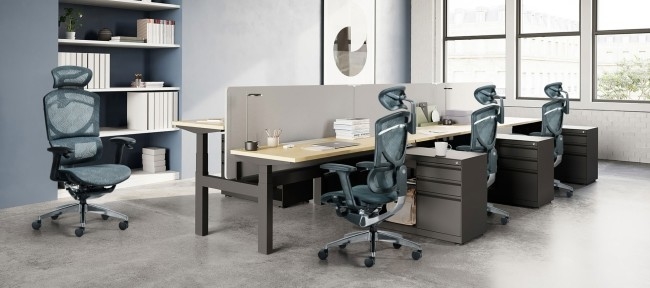 Sitzt ergonomisches Mesh Chair Home Office Use Schwenker-Büro GT ISEE 0 vor