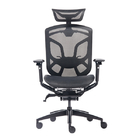 Ergonomic Office Chair With Adjustable Seat Depth  Ergo Sit High Back Mesh Chair