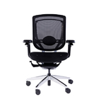 Headrest Optional 5D Wire Control Armrests Computer Desk Mesh Office Chairs