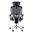 Gtchair Marrit Computer Desk Chair Adjustable High Back Ergonomic Office Chair