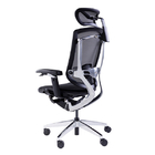 Gtchair Marrit Computer Desk Chair Adjustable High Back Ergonomic Office Chair