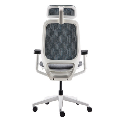 High Back Adjustable With Wire Control Armrest Home Chair Lumbar Support Computer Chair Ergo Office Chair